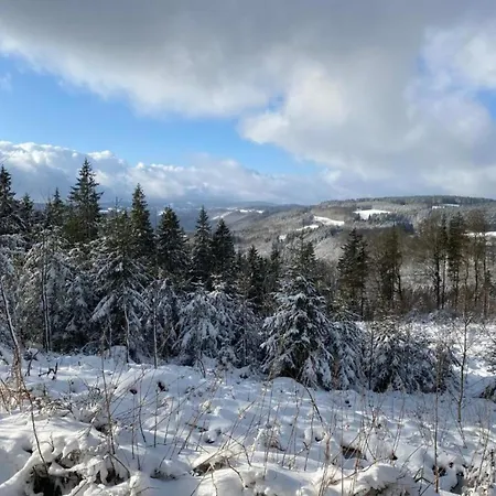 Apartment Deifeld Garden Terrace