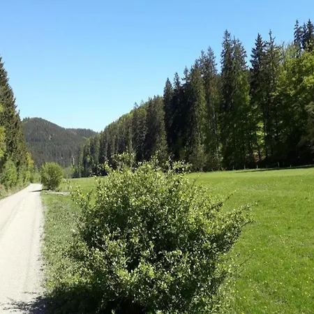 Deifeld Garden Terrace Apartment