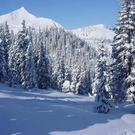 Apartment Deifeld Garden Terrace