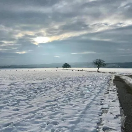 Deifeld Garden Terrace Apartment