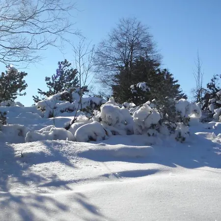 Apartment Deifeld Garden Terrace