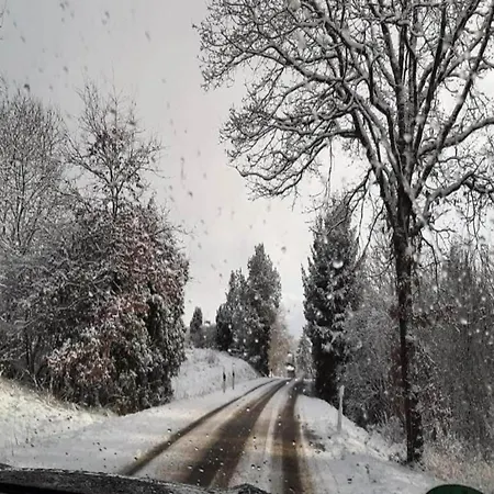 Apartment Deifeld Garden Terrace *