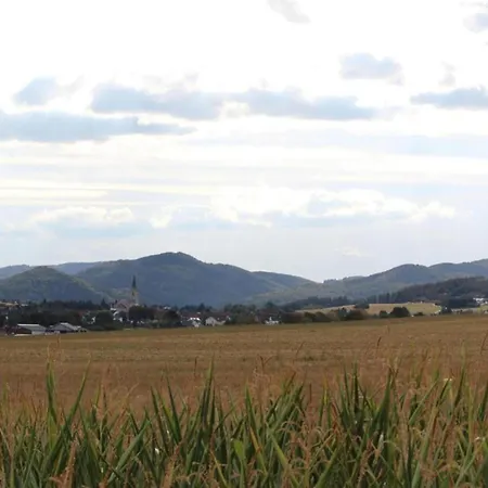 Deifeld Garden Terrace * Medebach