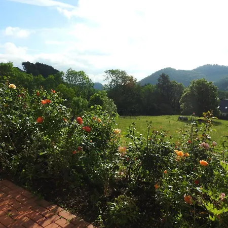 Apartment In Deifeld With Garden *